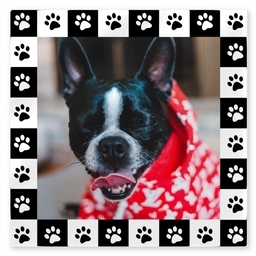 TilePix Glass 8.25x8.25 with Pet Feets design