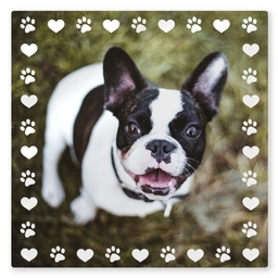 TilePix Glass 8.25x8.25 with Pet Feets Neet design