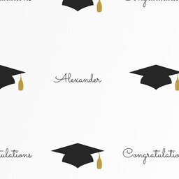Wrapping Paper - 24x72in sheet with Simple Graduate  design